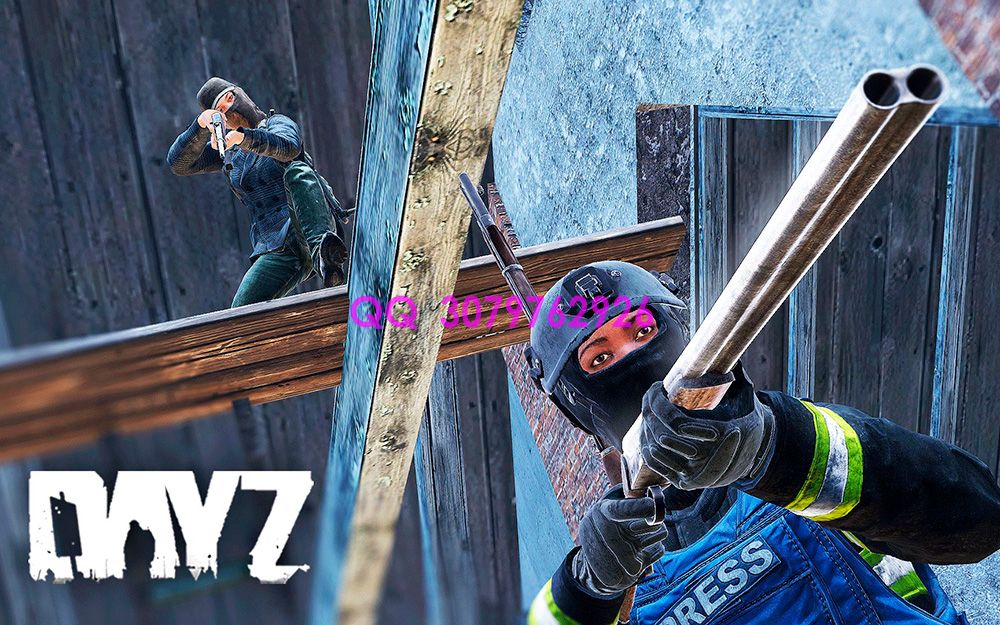 DayZ在线地图详解：新手与老玩家的高效导航利器！