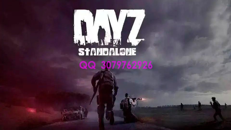 DAYZ官服赚钱：如何在游戏中获得更多收益(图1)